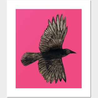 Flying crow Posters and Art